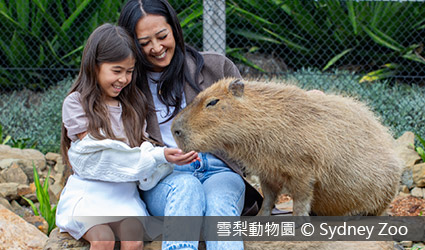 澳洲-雪梨動物園